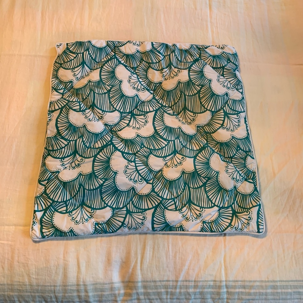 Pottery Barn Euro sham